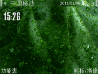 青菜