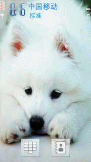 雪白的狗