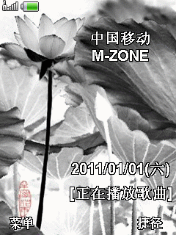出水芙蓉