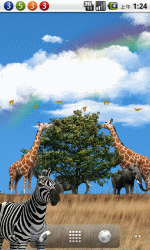 蓝天下的动物