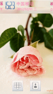 粉色玫瑰花