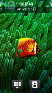 海洋生物