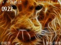 虎纹