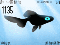 小蝌蚪