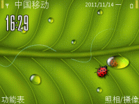绿叶