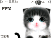 可爱小猫