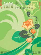 橙色的花