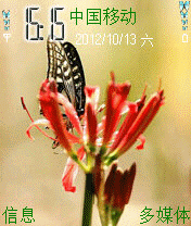 蝶恋花