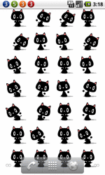 跳舞猫