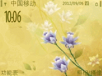 印忆花