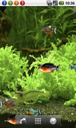 3D水族馆