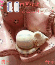 睡觉的猫咪