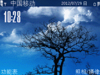 一颗树