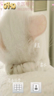白色猫咪