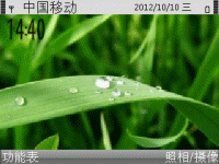 青草