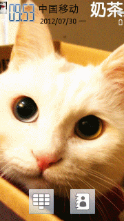 小猫咪