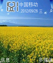 油菜花