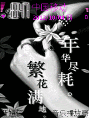 年华尽耗