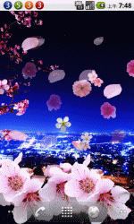 花海