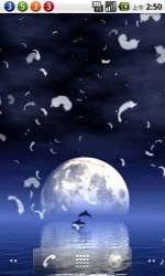 唯美星空