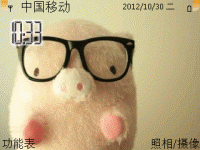 戴眼镜的可爱小猪