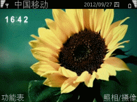 向日葵