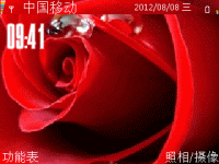 红色玫瑰