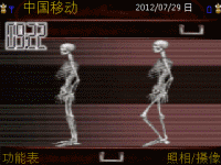 人体骷髅
