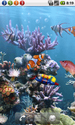 真正的水族馆