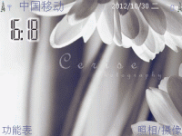 灰白花瓣