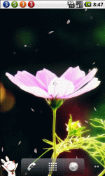 清新花儿