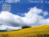 向日葵