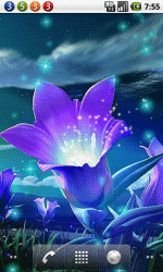 炫紫花朵