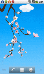 浪漫樱花