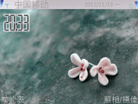 被遗弃的花儿