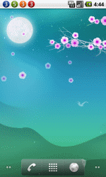 花好月圆
