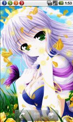 郁金香花开