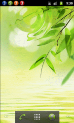 绿竹