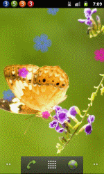 小昆虫