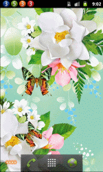 花间蝴蝶