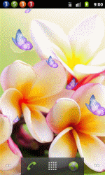 馨香花儿