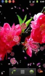 桃花漫舞