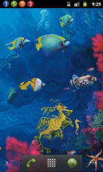 水族馆