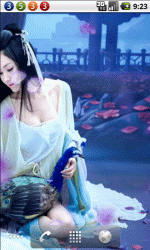 孔雀翎