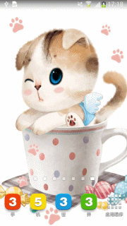 茶杯猫