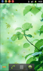 清新绿叶