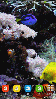气泡水族馆