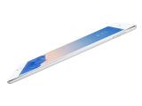 效果图